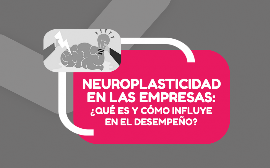 Neuroplasticidad en las empresas: ¿Qué es y cómo influye en el desempeño?